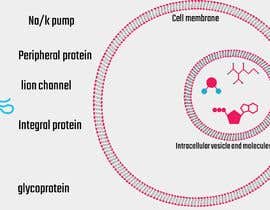 Nro 8 kilpailuun BioSphere with proteins käyttäjältä MohammadElsepaee