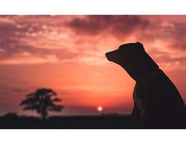 #109 pёr Enhance Dog Photos; Beautifully, Creatively! nga manuelameurer