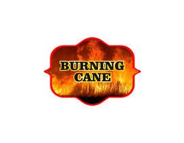 #68 for Design a Logo for Burning Cane af asnan7