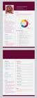 #11 for design a professional infogrpahic CV by Jbroad
