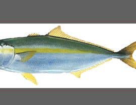 #6 สำหรับ Graphic designer required to draw an image of a Kingfish that can be used for embroidery. โดย mya59c539d61fd1a