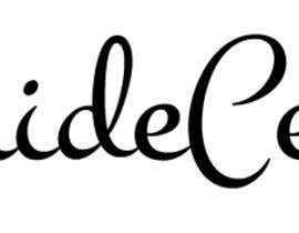 #14 for I need a fresh logo designed for a wedding business named Adelaide Celebrants. Main colour for logo is blue. Let the creation begin! by darkavdark