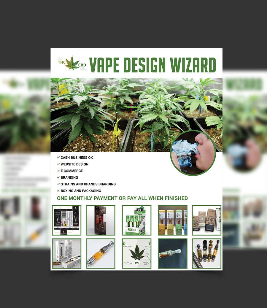 Participación en el concurso Nro.8 para                                                 Create an Advertisement Flyer for Website Design and Marijuana / CBD
                                            