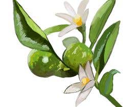 #28 for MAKE ME A HAND DRAWN IMAGE OF KAKADU PLUM FOR PACKAGE by Arekuthelazy