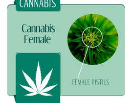 #7 สำหรับ Graphic Design: Draw a Marijuana crop that gets pollinated and goes to seed โดย dasharg