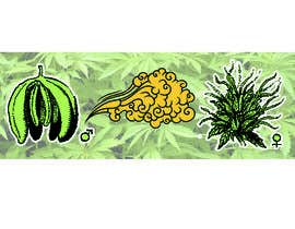 #4 for Graphic Design: Draw a Marijuana crop that gets pollinated and goes to seed by inspiredvera