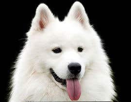 #14 for Vectorized Samoyed Dog Images - Graphic Design Project by naeemjr