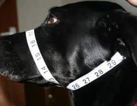 #3 for Take a professional photo measuring dog&#039;s neck af SyedJazib51214