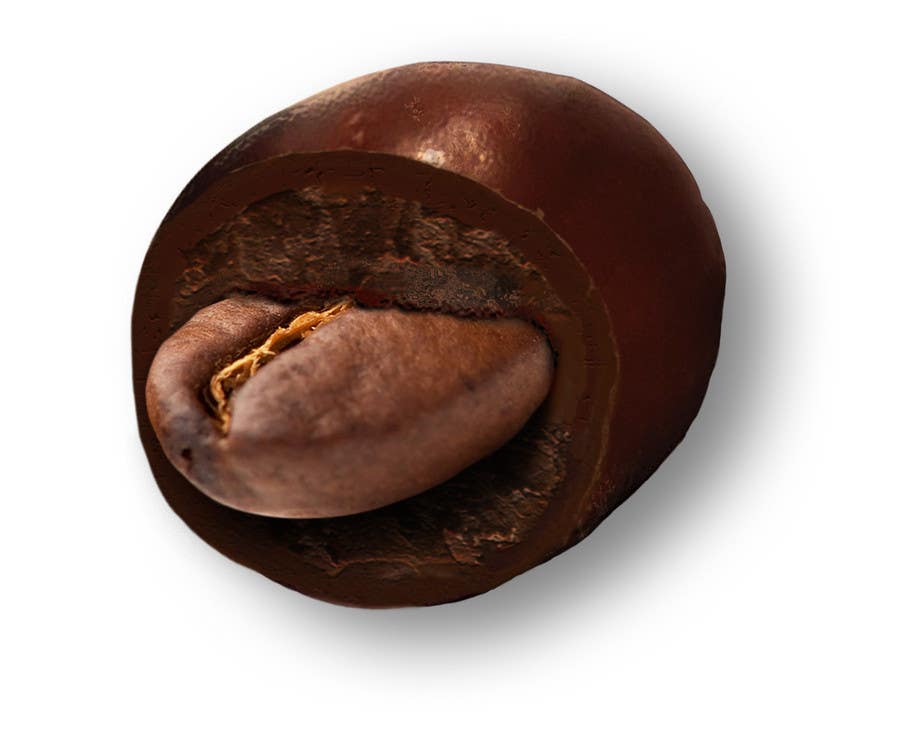 
                                                                                                                        Proposition n°                                            13
                                         du concours                                             HD Image of coffee bean coated in chocolate
                                        