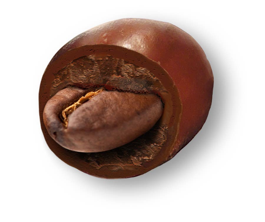 
                                                                                                                        Proposition n°                                            14
                                         du concours                                             HD Image of coffee bean coated in chocolate
                                        