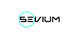 Miniatura de participación en el concurso Nro.9 para                                                     Sevium | Logotipo y Bussines Card
                                                
