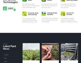 #9 for Need an attractive and simple website for Cannabis Products by MHSuvro