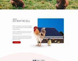 Číslo 38 pro uživatele Poultry Farm Products Website designed and built od uživatele RayaLink