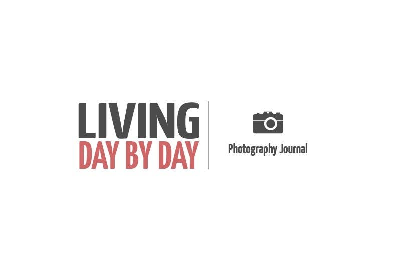 Tävlingsbidrag #39 för                                                 Design a Logo for LivingDayByDay.com
                                            