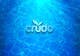 Imej kecil Penyertaan Peraduan #226 untuk                                                     Design a Logo for Crudo
                                                