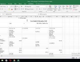 #4 para 2 Pages Excel Data Entry por maryamrizwan811