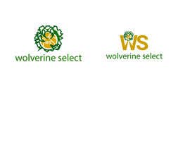 AurnaNet님에 의한 Logo for Basketball team (Wolverine Select)을(를) 위한 #25