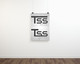 Ảnh thumbnail bài tham dự cuộc thi #16 cho                                                     Design a Logo for TSS
                                                