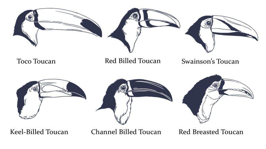 Kilpailutyö #68 kilpailussa                                                 Sketches of Toucans
                                            