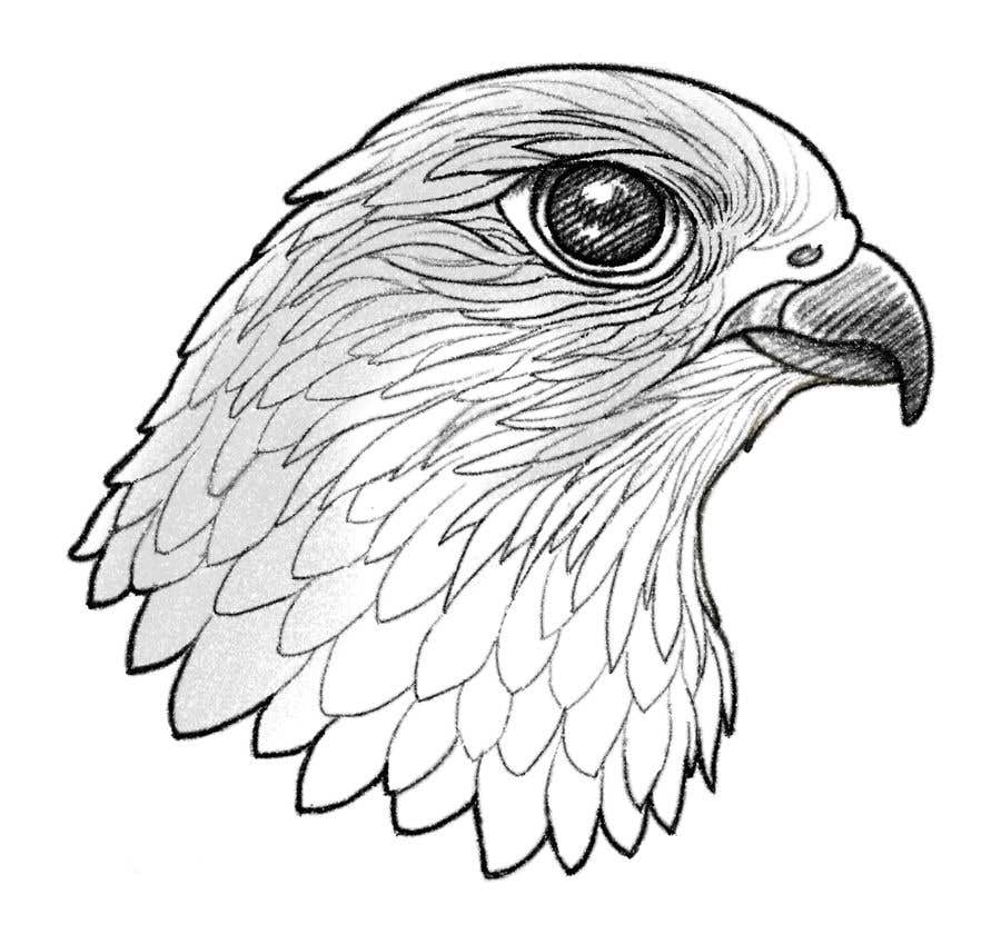 
                                                                                                            Bài tham dự cuộc thi #                                        36
                                     cho                                         sketch of a falcon
                                    