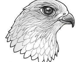 #36 cho sketch of a falcon bởi danazurc