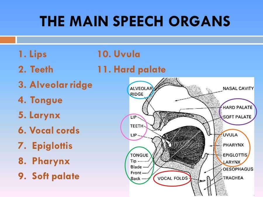 
                                                                                                            Contest Entry #                                        39
                                     for                                         Mouth diagrams / charts
                                    