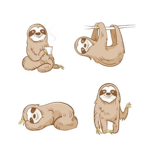 
                                                                                                            Penyertaan Peraduan #                                        35
                                     untuk                                         Staleface Sloth
                                    