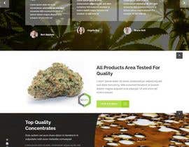 #21 για Repurpose PHZE Cannabis Network Website από Suptechy