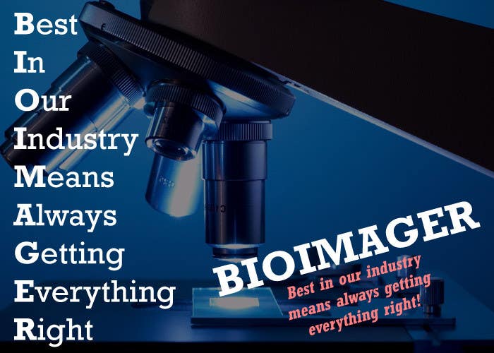 Kandidatura #14për                                                 Slogan as represent the company name: bioimager
                                            