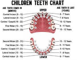Nro 17 kilpailuun Pediatric Teeth Chart käyttäjältä daren2210