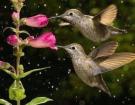#9 for Blooming Flower Flying Hummingbird by mdtarekrahman444