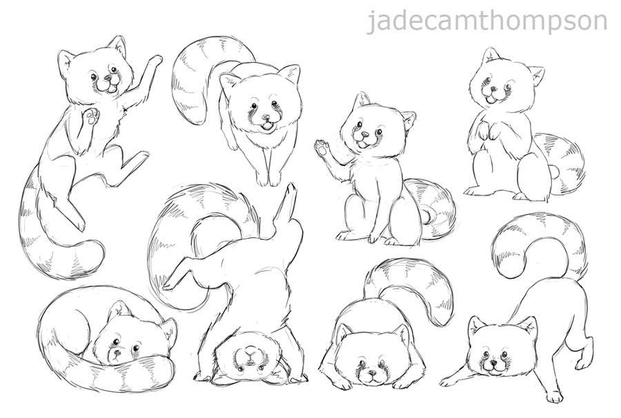 Draw 3 Rough Sketches Outlines Can Be A Picture Of Pencil On Paper Of A Red Panda In Fun Poses Freelancer