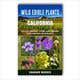 Graphic Design-kilpailutyö nro 147 kilpailussa Ebook cover for a Wild edible plant book