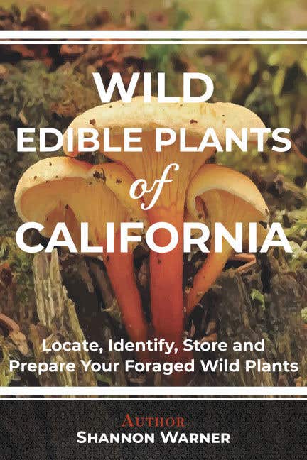 Kilpailutyö #169 kilpailussa                                                 Ebook cover for a Wild edible plant book
                                            