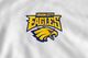 Contest Entry #121 thumbnail for                                                     Logo Redesign union city eagles
                                                