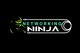 Kilpailutyön #314 pienoiskuva kilpailussa                                                     Create a Logo for my website "Networking Ninja"
                                                