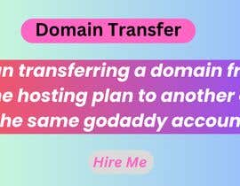 Asgharlashai tarafından transfer domain to other hosting plan on same godaddy account için no 10