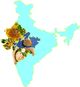 Ảnh thumbnail bài tham dự cuộc thi #6 cho                                                     Design Food Map of India
                                                