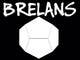 Imej kecil Penyertaan Peraduan #46 untuk                                                     Diseñar un logotipo para Brelans
                                                