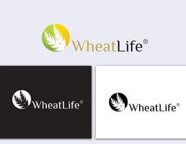 #11 untuk Develop a Brand and design a Logo for a healthy food startup oleh jerrydkv