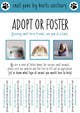 Kandidatura #45 miniaturë për                                                     Design a Flyer for a small animal rescue
                                                