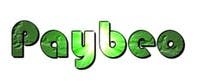 Graphic Design Entri Peraduan #95 for Design a Logo for 'Paybeo'