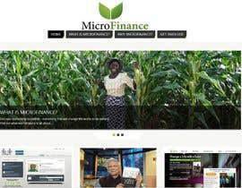 #2 untuk Design a logo for my microfinance info site oleh Haigo93