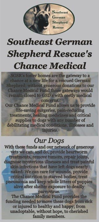 Penyertaan Peraduan #3 untuk                                                 Design a Brochure for Southeast German Shepherd Rescue's Chance Medical Fund
                                            