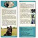 
                                                                                                                                    Miniatura da Inscrição nº                                                 4
                                             do Concurso para                                                 Design a Brochure for Southeast German Shepherd Rescue
                                            