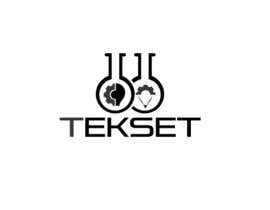 #71 untuk Design a Logo for our company Tekset Software oleh fireacefist