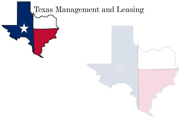 Příspěvek č. 13 do soutěže                                                 Texas Management and leasing
                                            