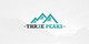 Icône de la proposition n°332 du concours                                                     Three Peaks Logo Design
                                                
