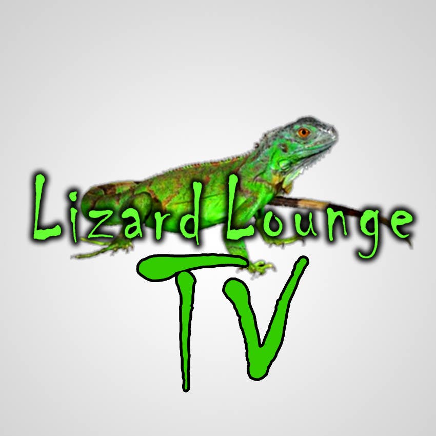 Penyertaan Peraduan #36 untuk                                                 Logo design for live event streaming website: Lizard Lounge Tv
                                            