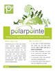Entri Kontes # thumbnail 3 untuk                                                     Graphic Design for Flyer for PolarPointe.com, the entrepreneurs social network.
                                                